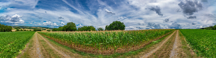 Panorama on some rural fields, with a blue sky and some clouds on it