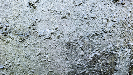 
texture of silver paint on old wall background