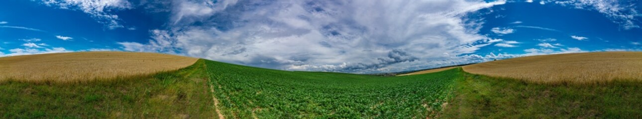 Panorama on some rural fields, with a blue sky and some clouds on it