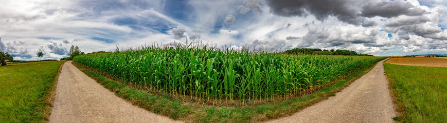 Panorama on some rural fields, with a blue sky and some clouds on it