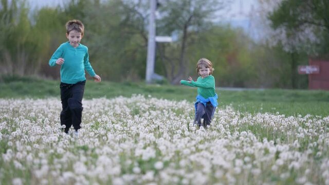 Little child and his bigger brother run on blossom field, unequal competition,slow motion