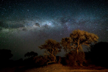 Fototapeta na wymiar Milky Way over Purros Canyon, Namibia