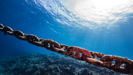 Seascape in coral reef of Caribbean Sea with big chain and sunbeams
