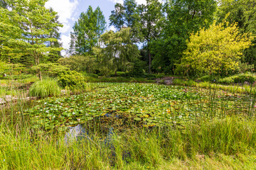 Fototapeta na wymiar Small pond with lilies in a park on a sunny summer day
