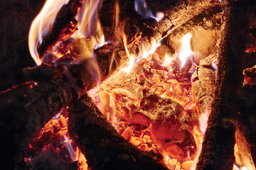 Close up view of bonfire. Burning wood. Conception of tourism