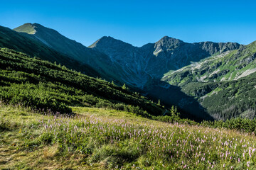 Obraz premium Western Tatras scenery from saddle Zabrat, Slovakia, hiking theme