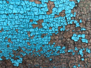 Blue Wooden Background. A weathered close-up of cracked paint on a wooden board