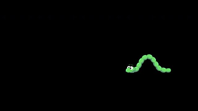 Looped cartoon animation of a Green crawling worm. 
00:16 duration