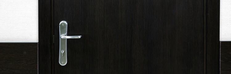 Door handle close-up elements. Closed wooden door in a modern style in the interior.