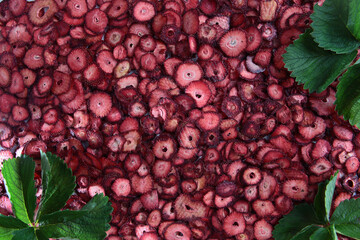 A large number of dried strawberry slices. Natural product. Dried strawberry fruit with green leaves. Flat layout. The background photo.