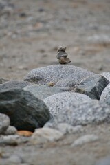 Stacked Rocks