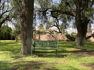 Banco en área verde