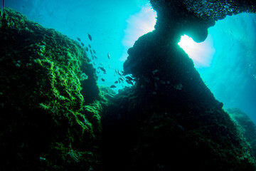 under the sea with reef in çeşme