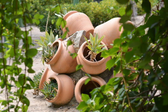 jarrones tipo tinajas con plantas