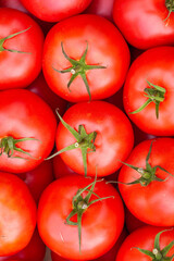 red tomatoes background. Group of tomatoes