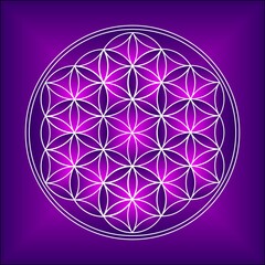 Sacred Geometry - Flower of life, Violet pattern- Vector Illustration