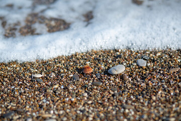 Small waves, sand particles and seashells by the sea