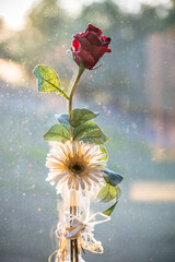 Artificial red rose in a vase © robertdering
