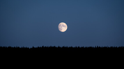 Moon in the night on top of a dark forrest