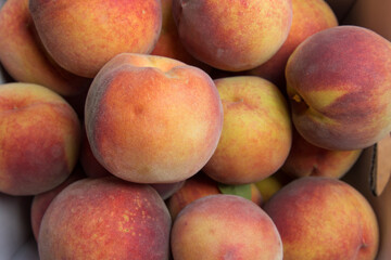 ripe peaches