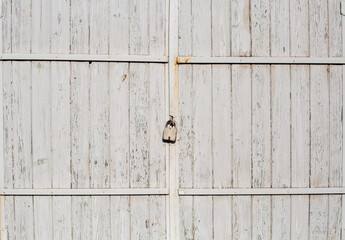 Old wooden gate closed with a padlock. White paint will peel off