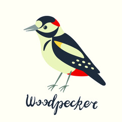 Hand drawn vector cartoon woodpecker isolated on white background 