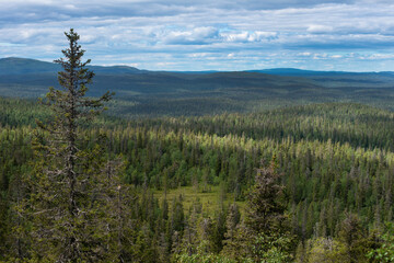 Grand taiga lake view from above