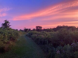 majestic sunset over meadow trail