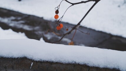 Processed with VSCOcam with a8 preset