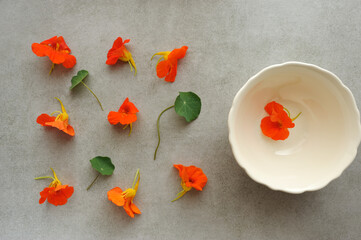 Background with nasturtium flowers ready for cooking dishes on gray background.