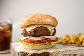 Homemade Burger sandwich with fries 