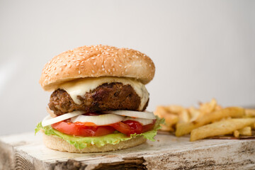 Homemade Burger sandwich with fries 
