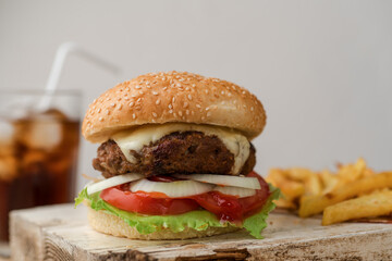 Homemade Burger sandwich with fries 