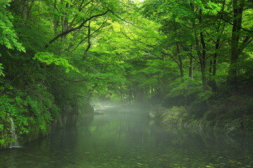 岩手県住田町　夏の鏡岩