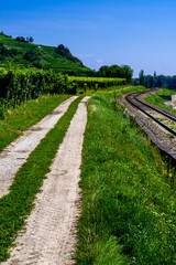 Fototapeta na wymiar Gravel Road And Tracks Of A Railroad Beneath Vineyard 