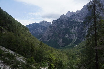 Fototapeta na wymiar Hiking in logar valley, logarska dolina, Slowenia, july 2020.