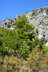 mountain road in Turkey