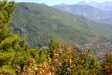 view of the mountains