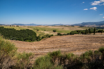 Fototapeta na wymiar val d'orcia 03 - paesaggio toscano con campo di grano cipressi e fattoria