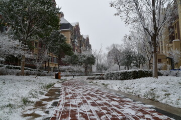 Path leading inside of the Christmas eve snowy garden with trees covered with blizzard