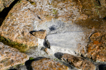 Mineral deposition on stones by dripping water from a healing spring.
