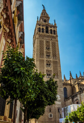 Fototapeta na wymiar A view of the tower of the cathedral of St Mary in Seville, Spain in the summertime