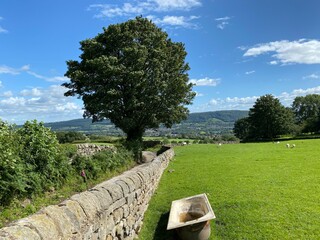 Drink bath, next to a dry wall, with fields, trees, and meadows near, Farnley, Leeds, UK