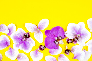 Purple orchid flower pattern on yellow background. Tropical floral border pattern. Trendy Beautiful summer, spring template