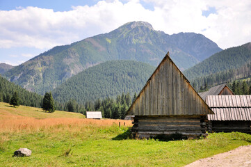 Szałasy na Polanie Chochołowskiej i Kominiarski Wierch w tle, Tatry, Polska © Marta