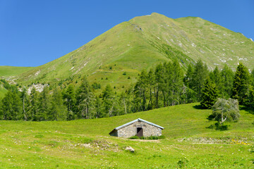 Mountain landscape along the road to Crocedomini pass