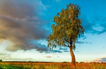 Krajobrazy rośliny i zwierzęta © Piotr