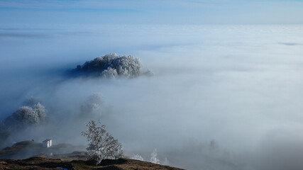Foggy tree island in a sea of clouds. Transalpina, Romania. Winter scenery.