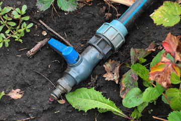 Plastic hose and valve of sprinkler system in a garden