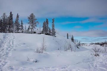 Snowy landscape at Yellowknife, Canada